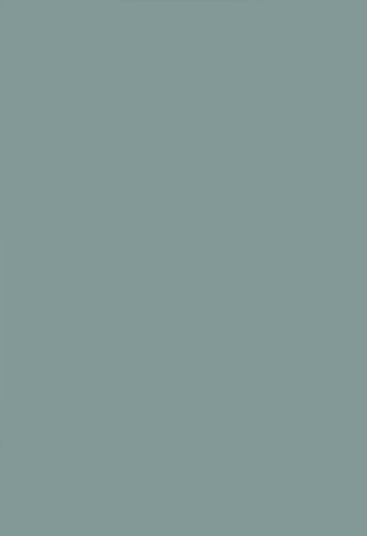 Website - Kitchen Door Template Odyssey Super Matt Fjord